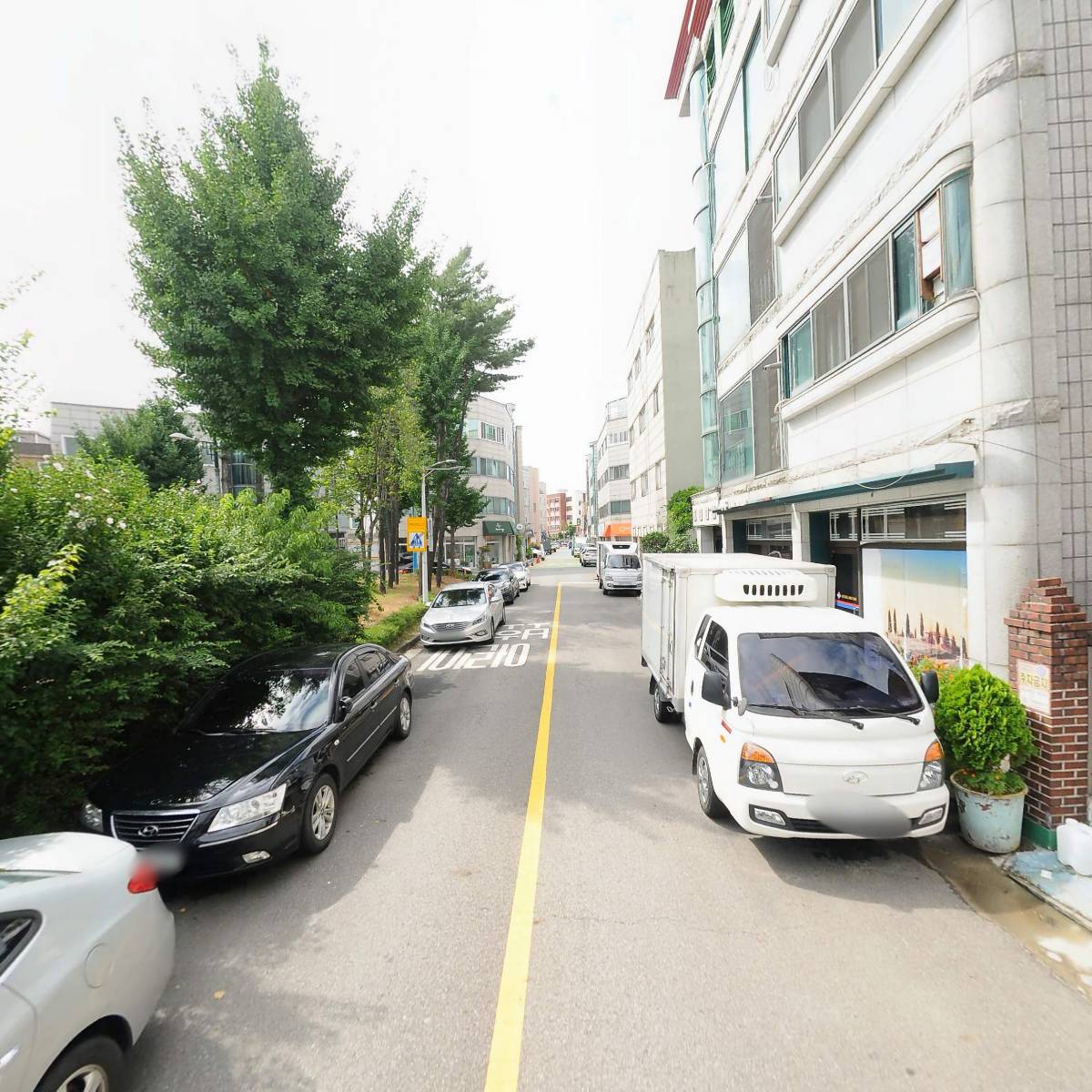 봄디아_2