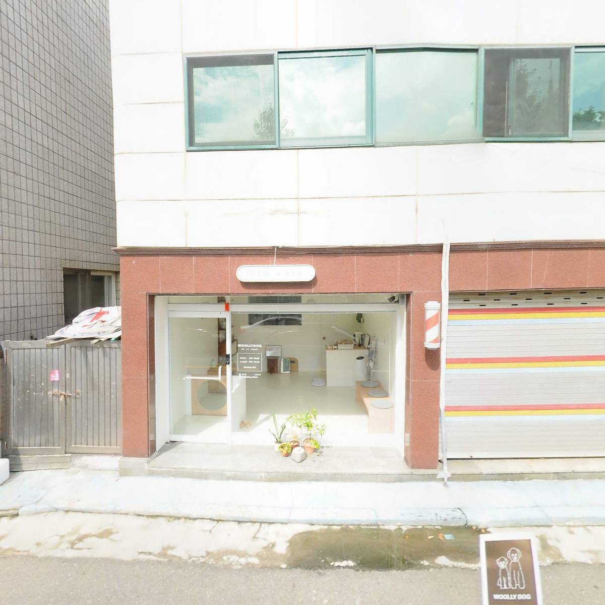 봄디아_3