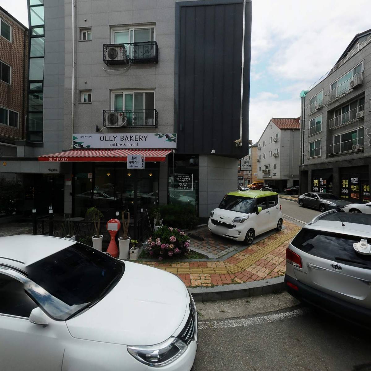 비비펫미용_3
