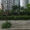 마곡4꿈의숲어린이집