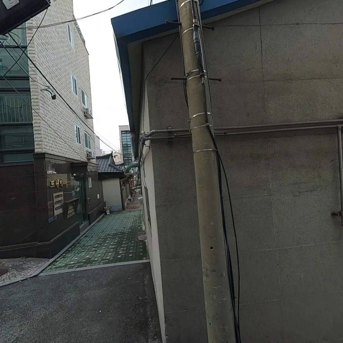 와와펫 애견용품 할인마트