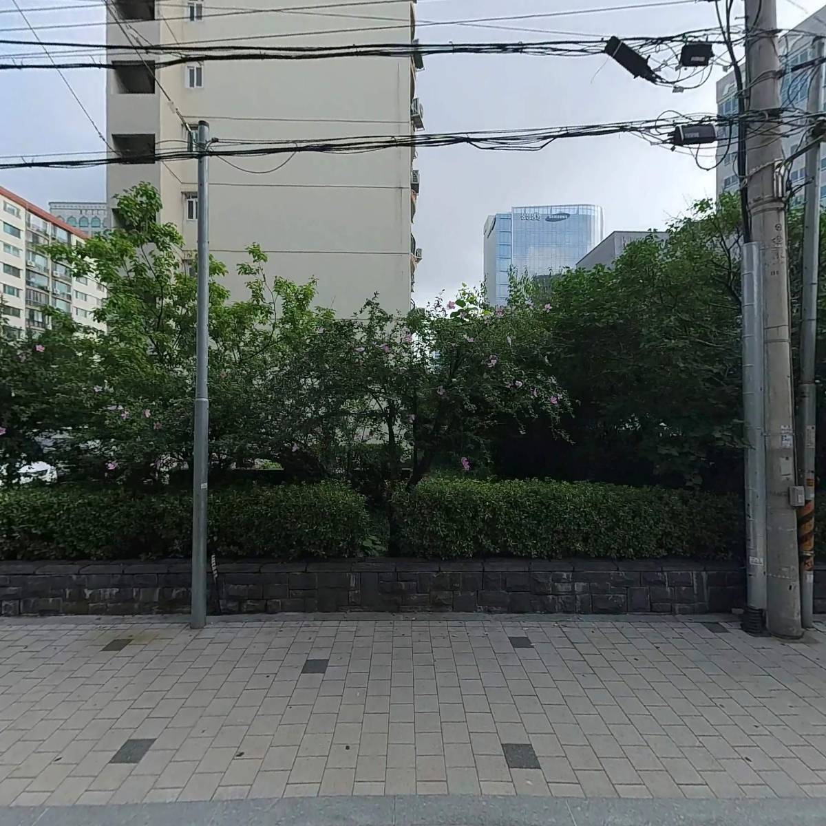 주식회사 독트라인터내셔널