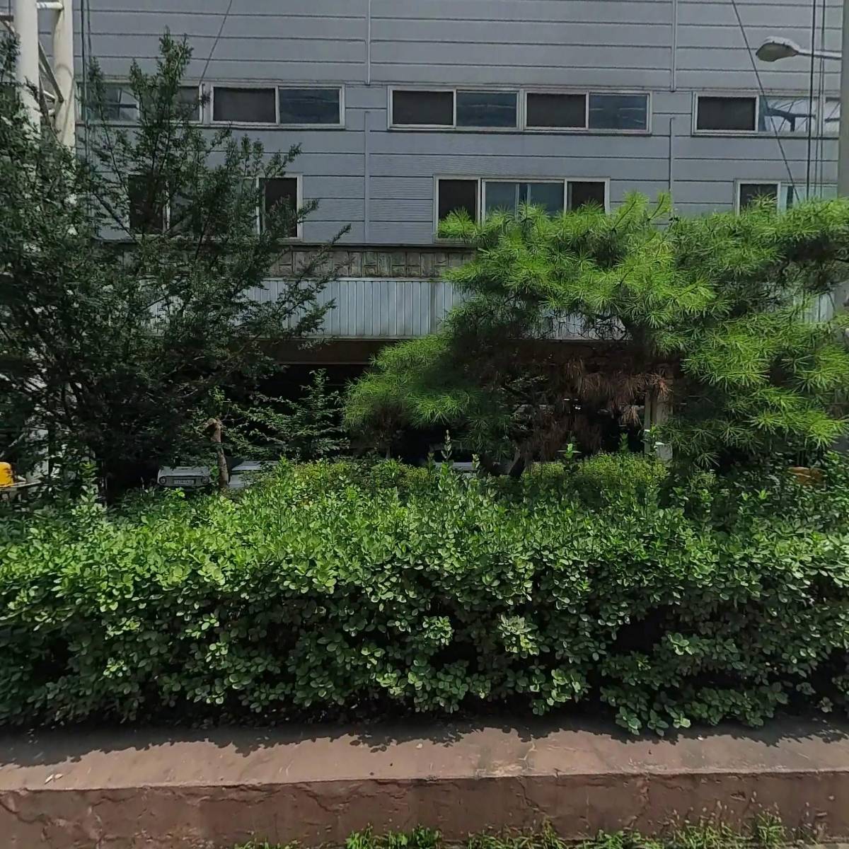 삼신SDS