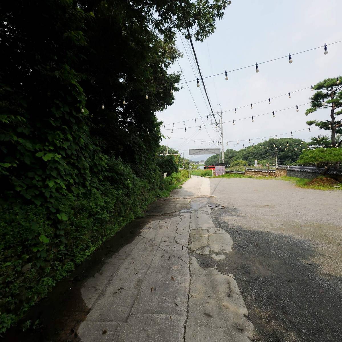 그리네 사바나_2