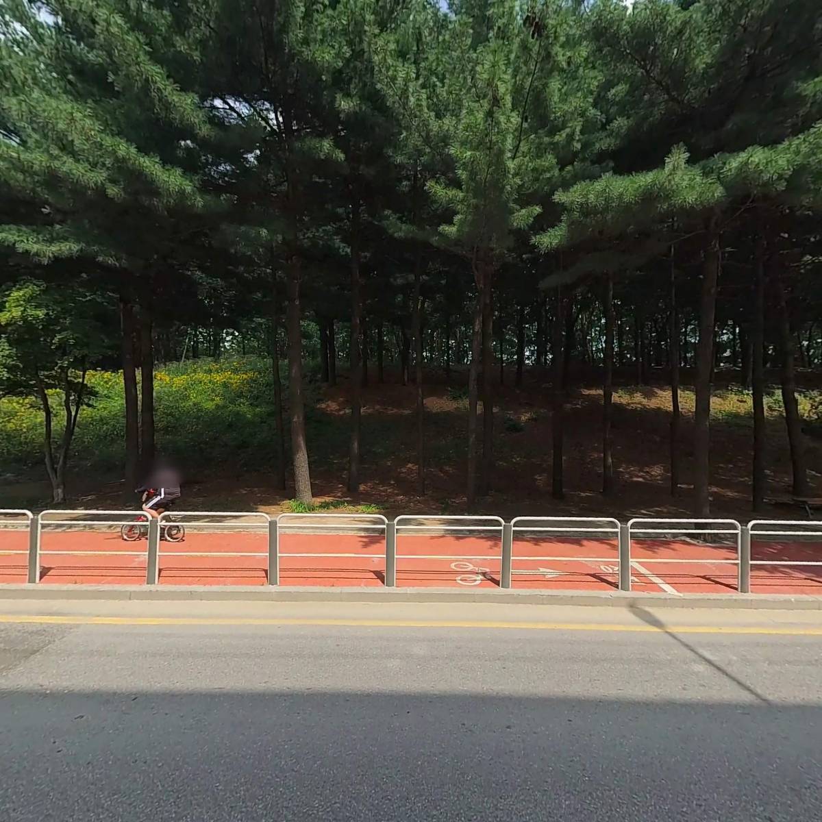 으라차차 유아체육_3