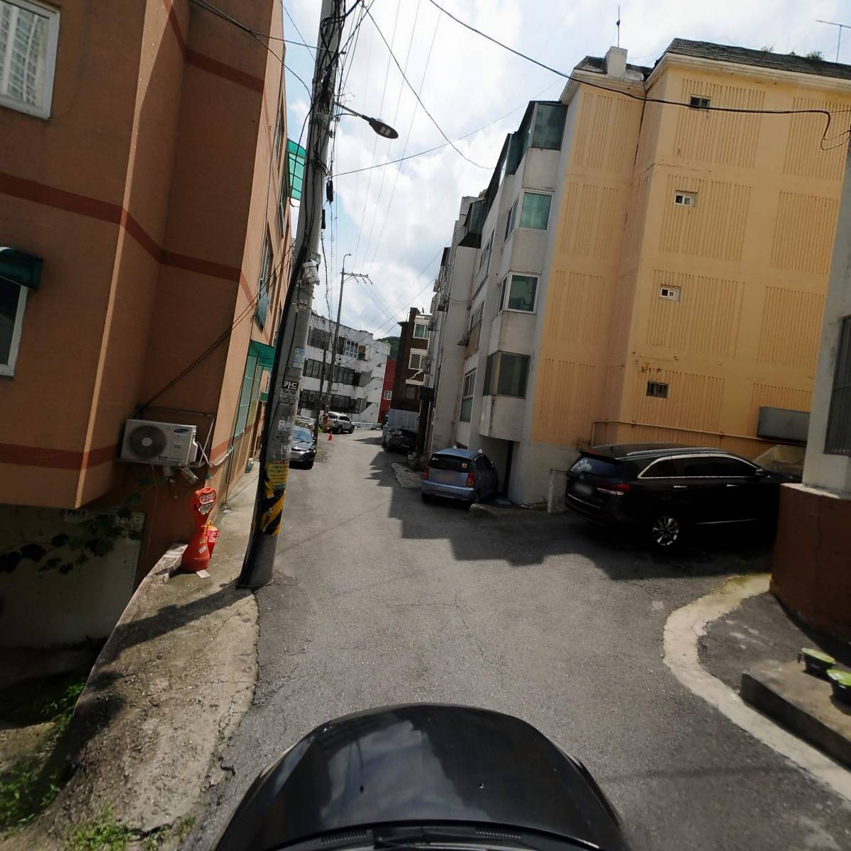 은현나무세상_4
