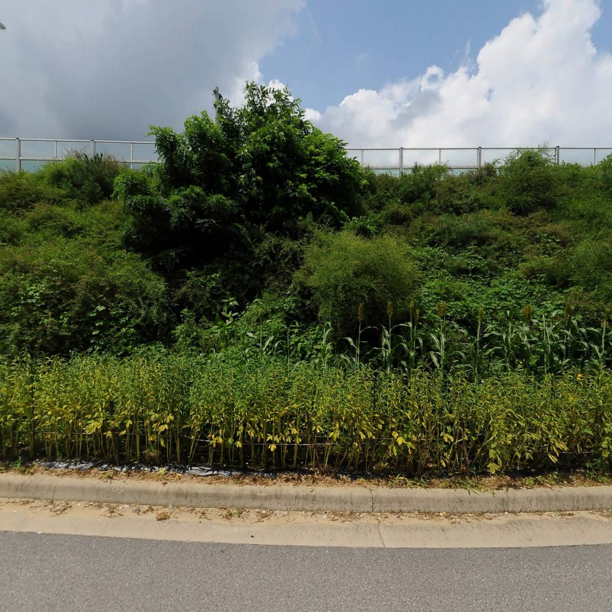 주식회사 켄베이상사_3