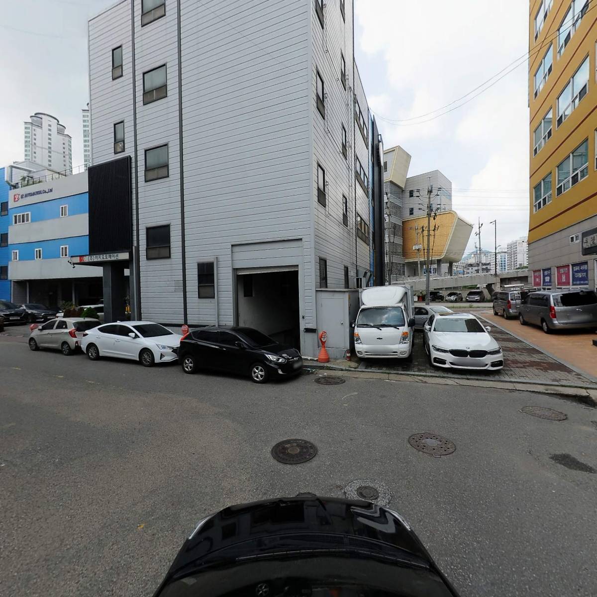 필레오_4