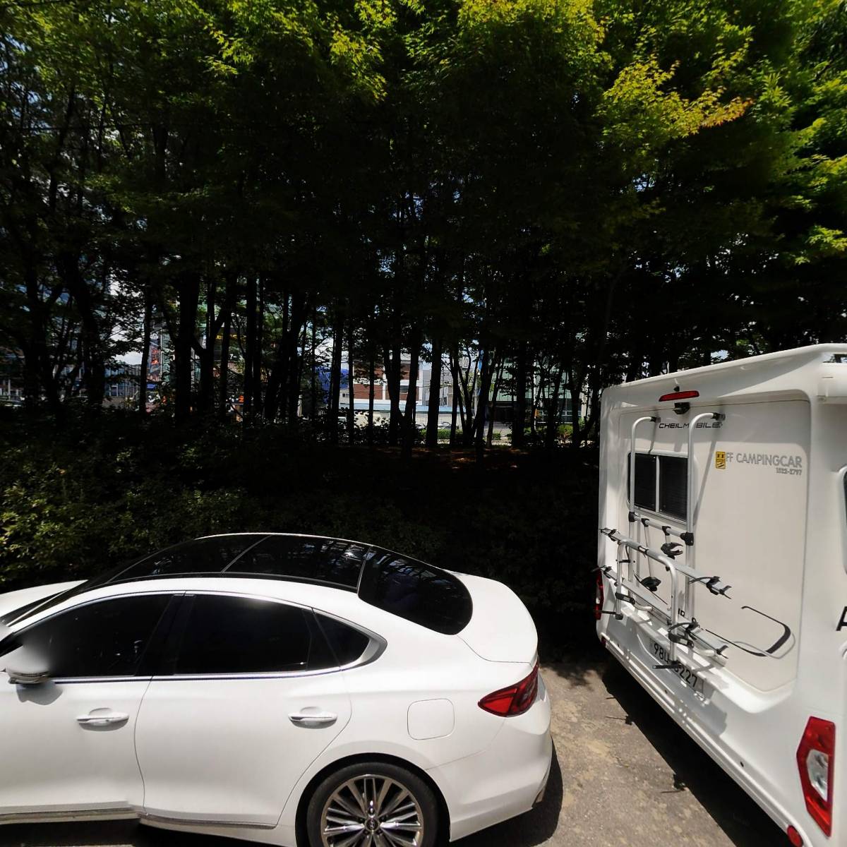 골든빌