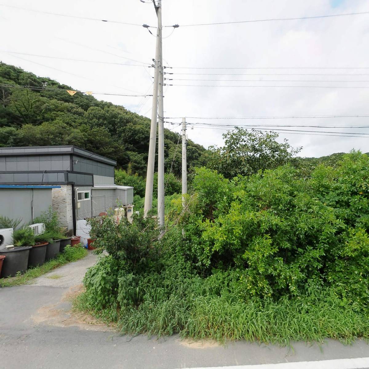 칠옹산다슬기영농조합법인
