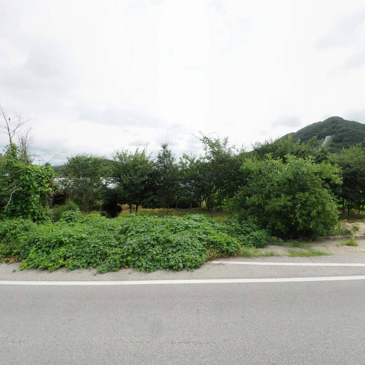 칠옹산다슬기영농조합법인_3