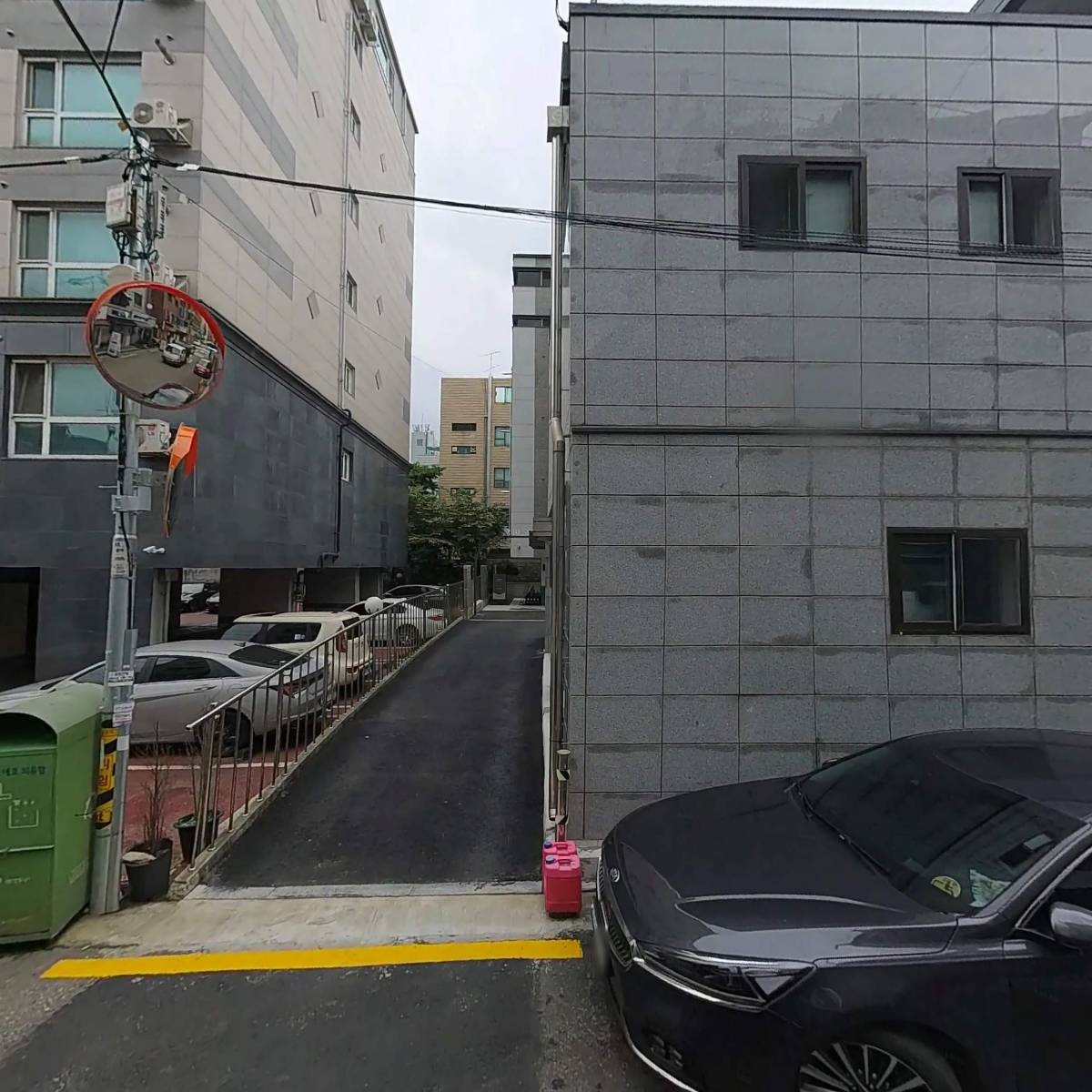트리바이제이