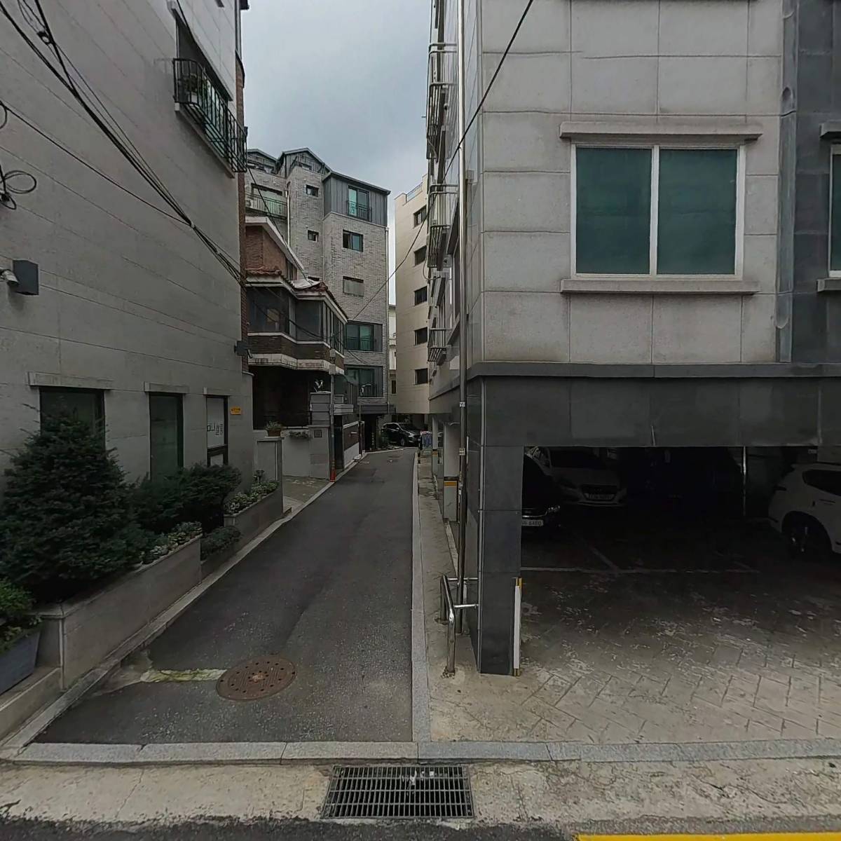 트리바이제이_3