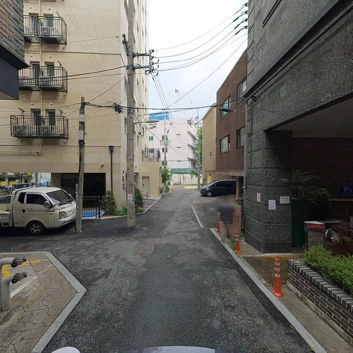 루시스(Lusis)_2