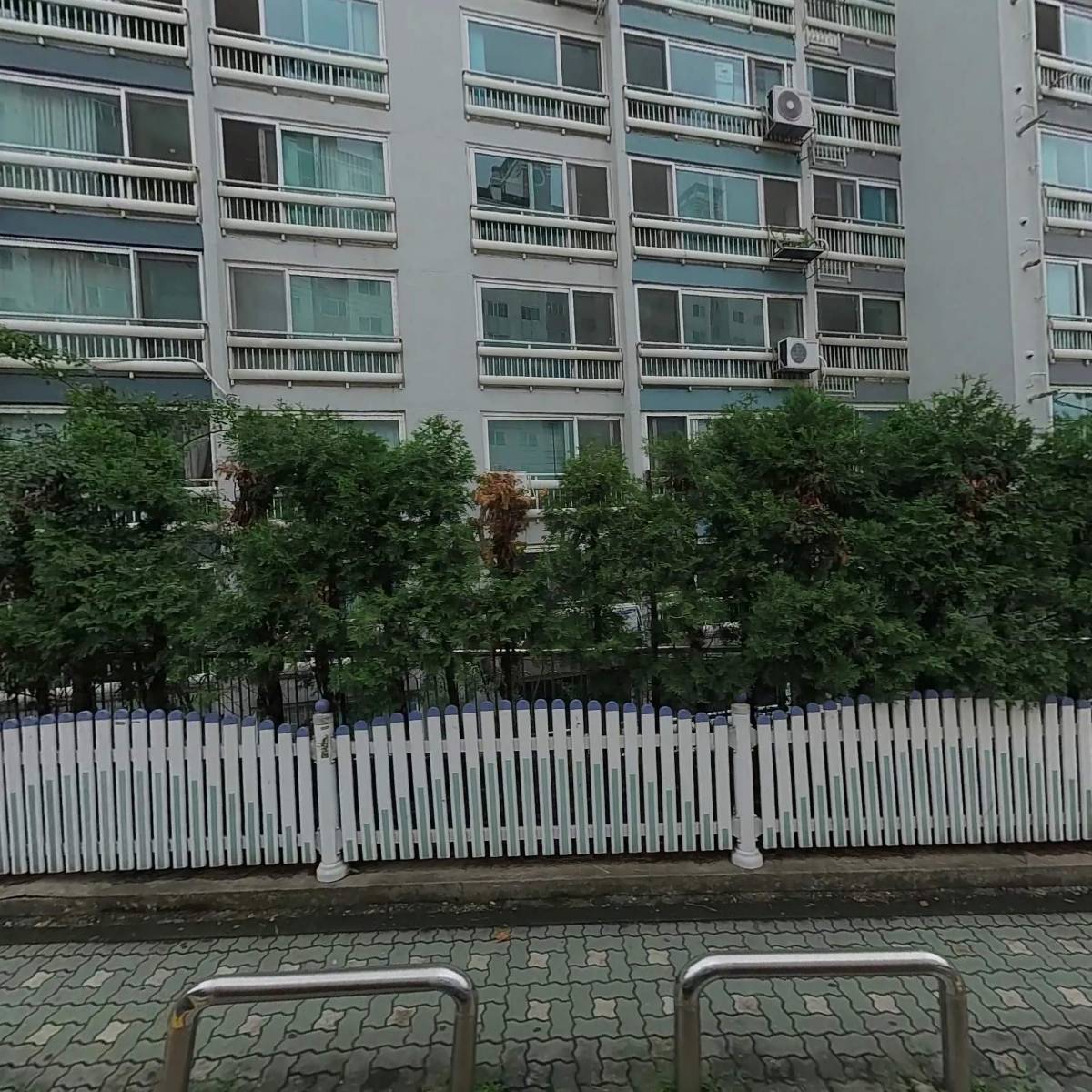 마야르 트레이딩 (Mayar Trading)