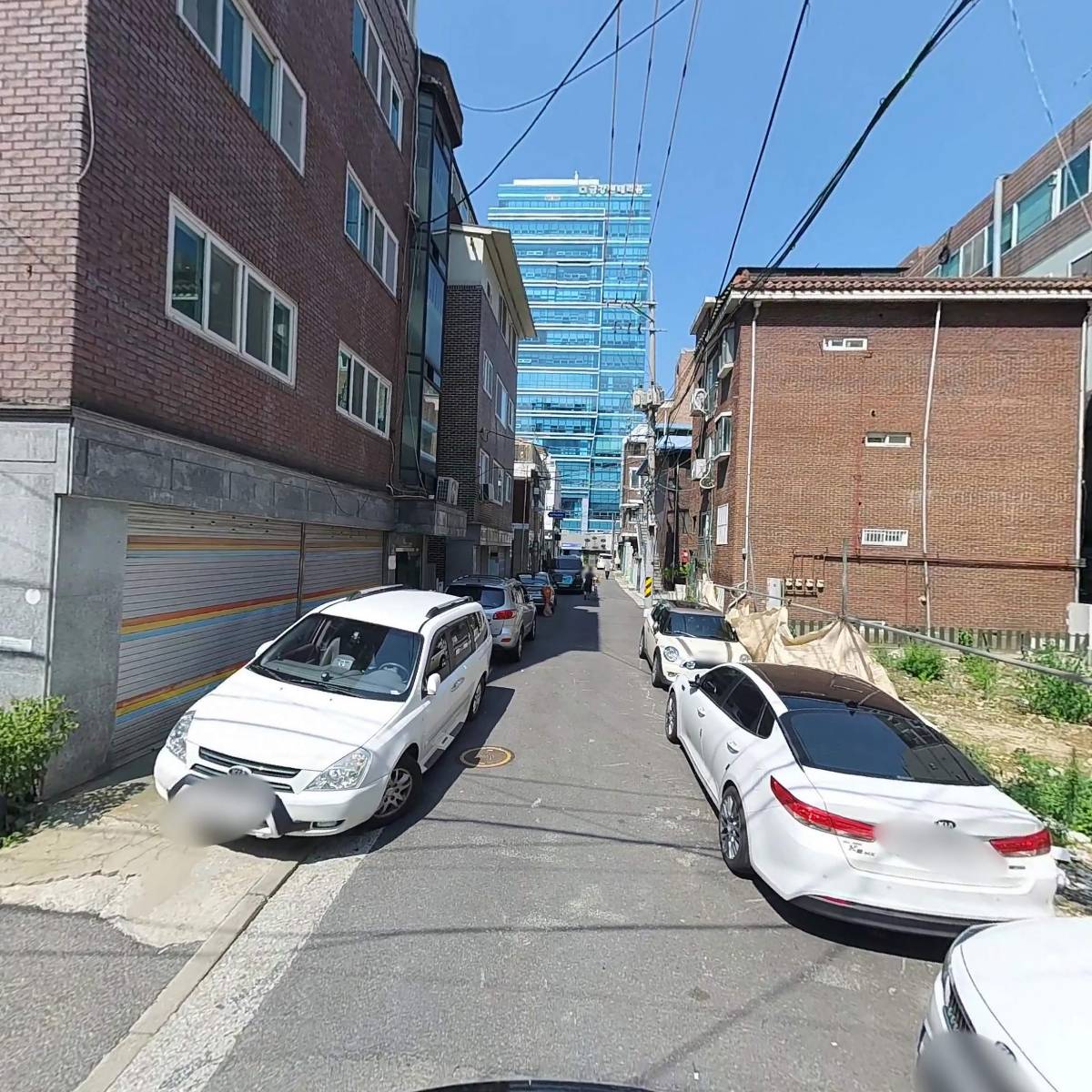 꽃보라_2