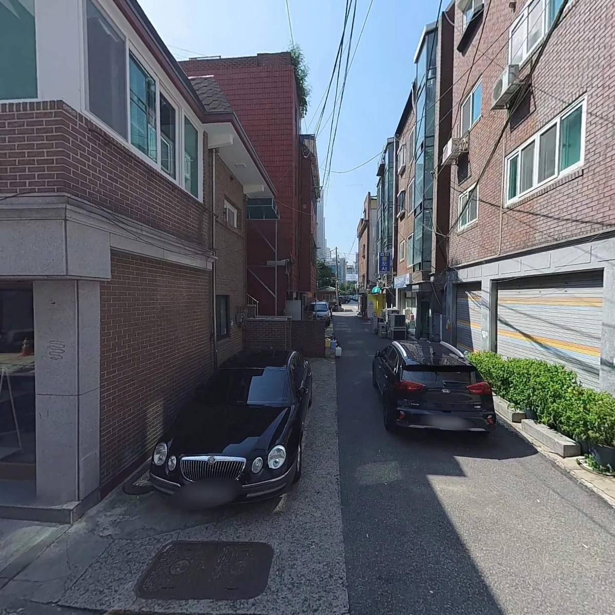 꽃보라