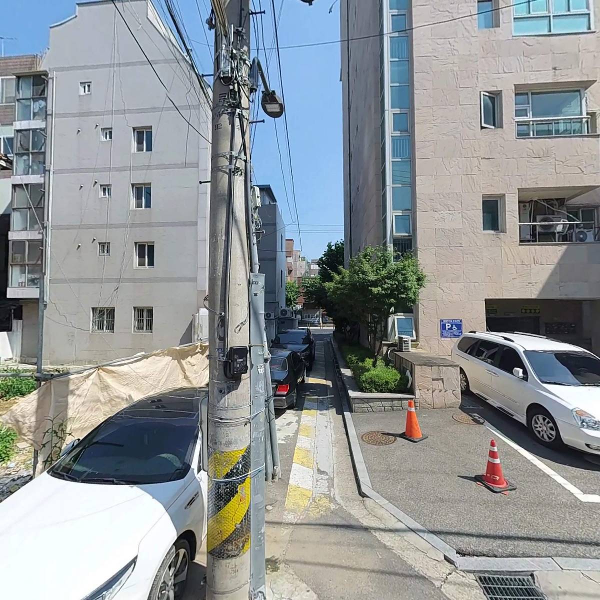 꽃보라_3
