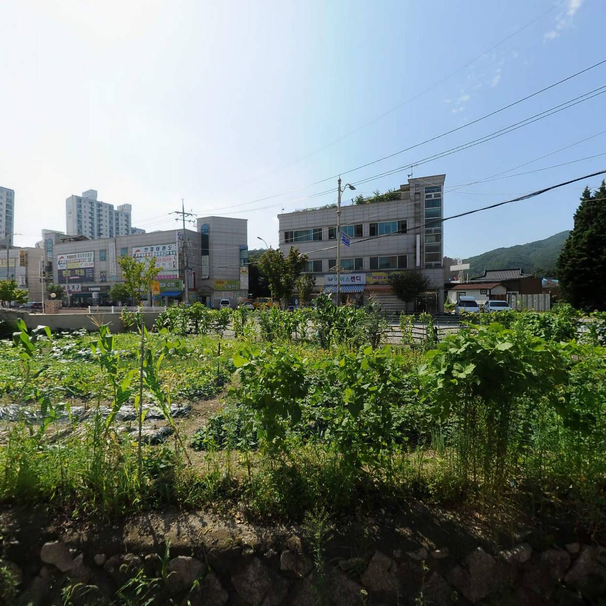 윤옥경(포천신읍동)_3