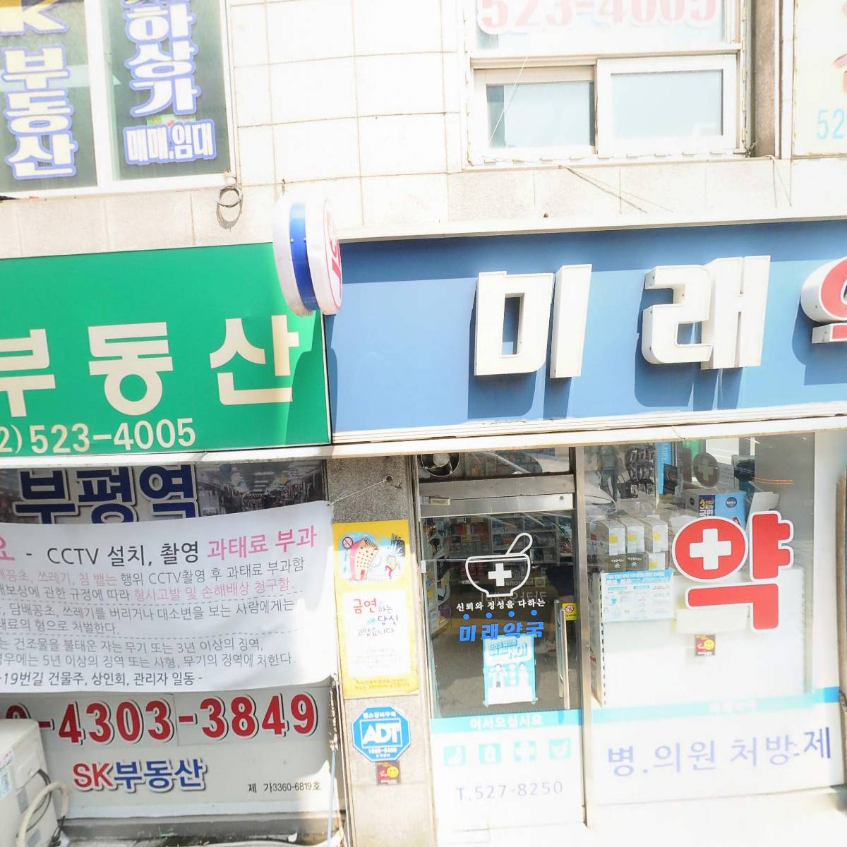 오영(oyoung)_3