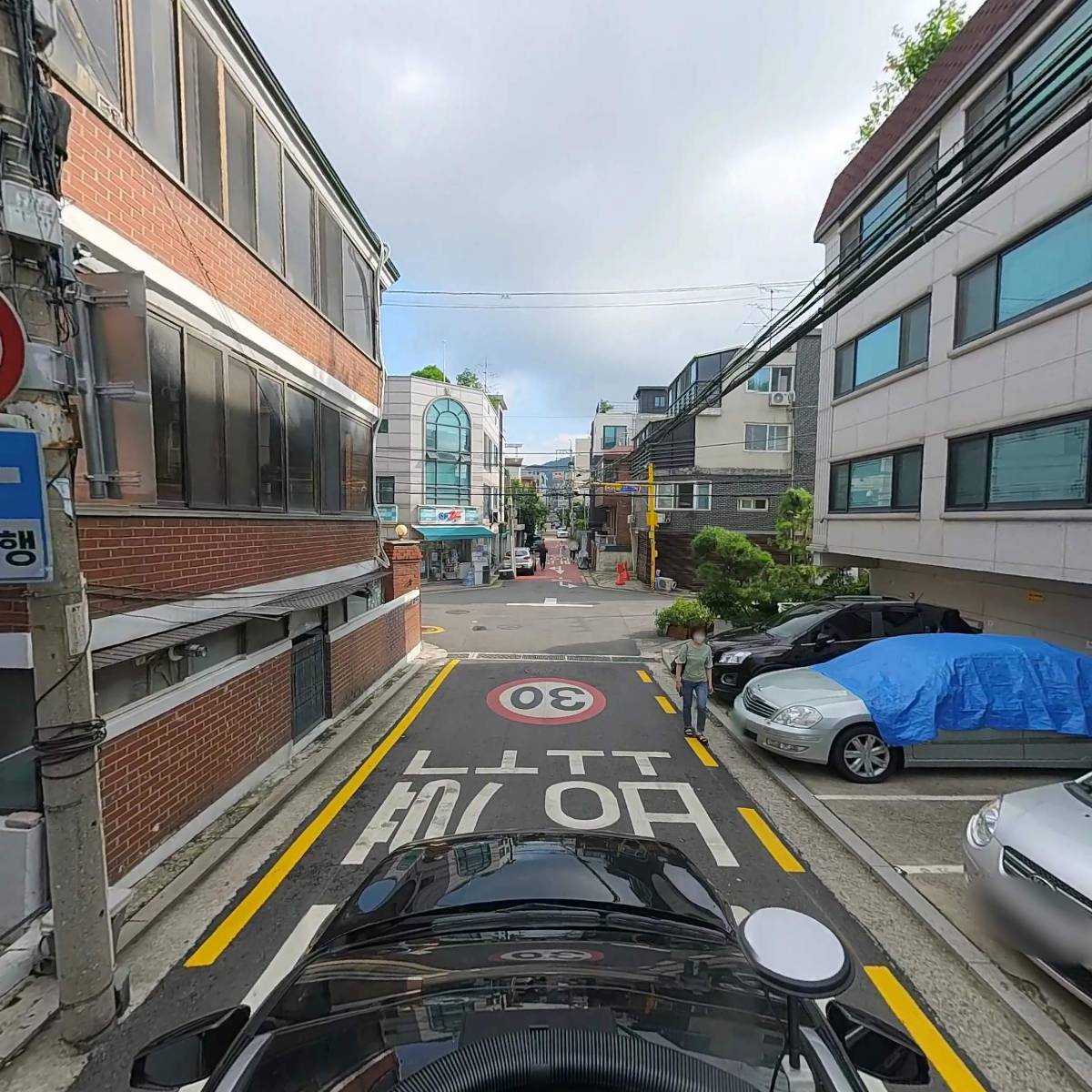 프란지파니_4