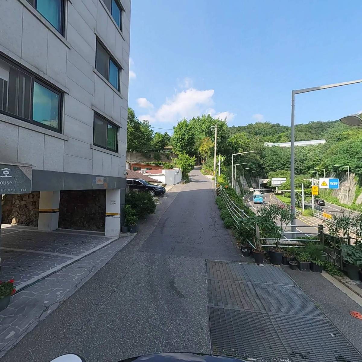 셰드_2