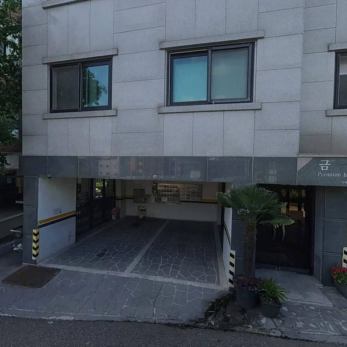 셰드
