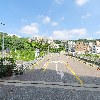 셰드_3