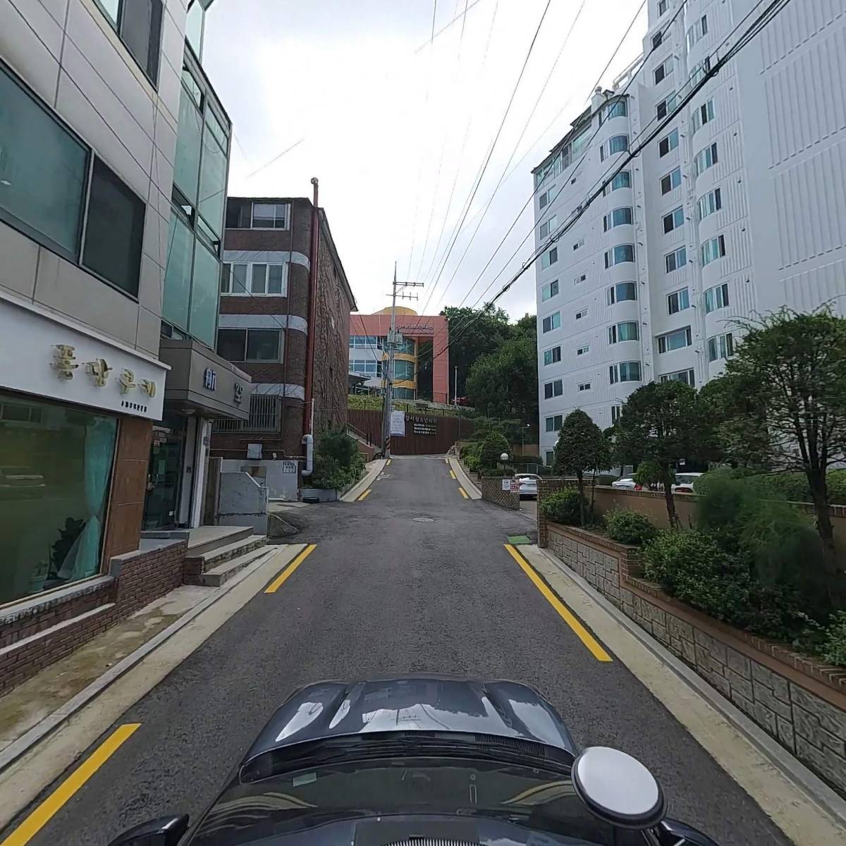 레코상사_4
