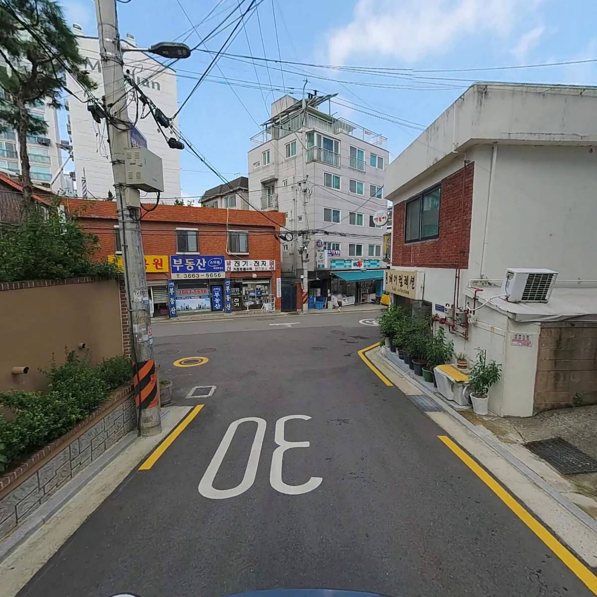 레코상사_2
