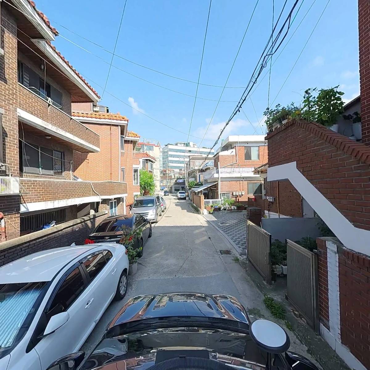엘피스_4