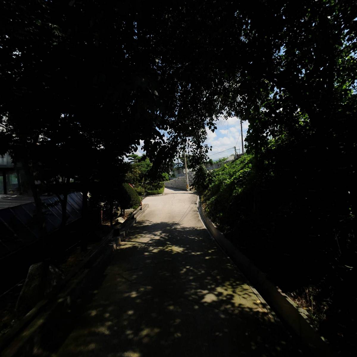 그레이스케일_2