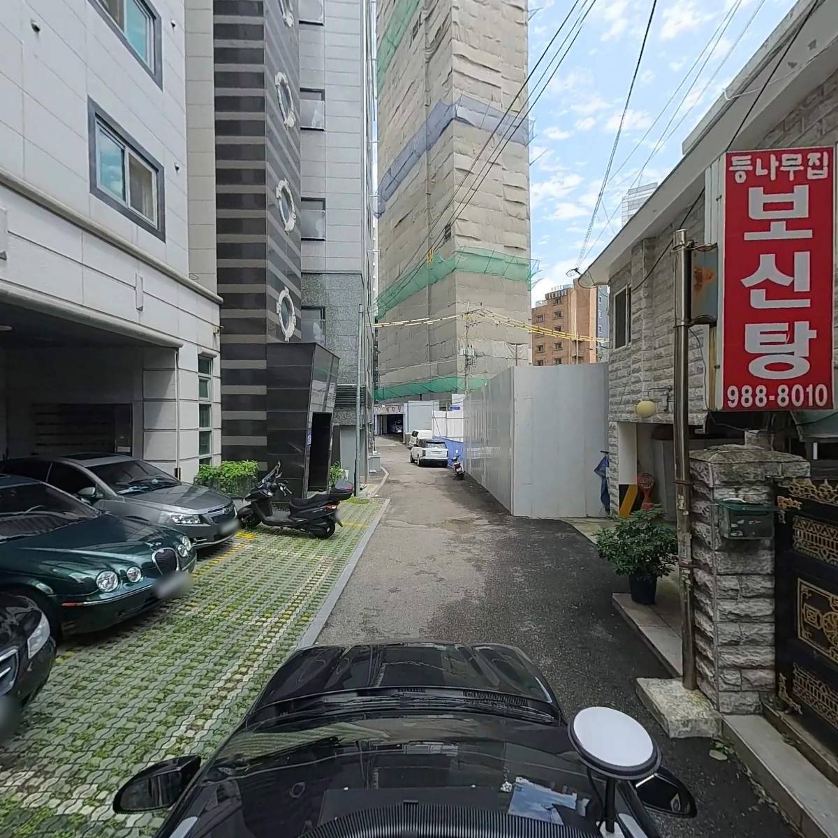 행복하개 키울고양_4