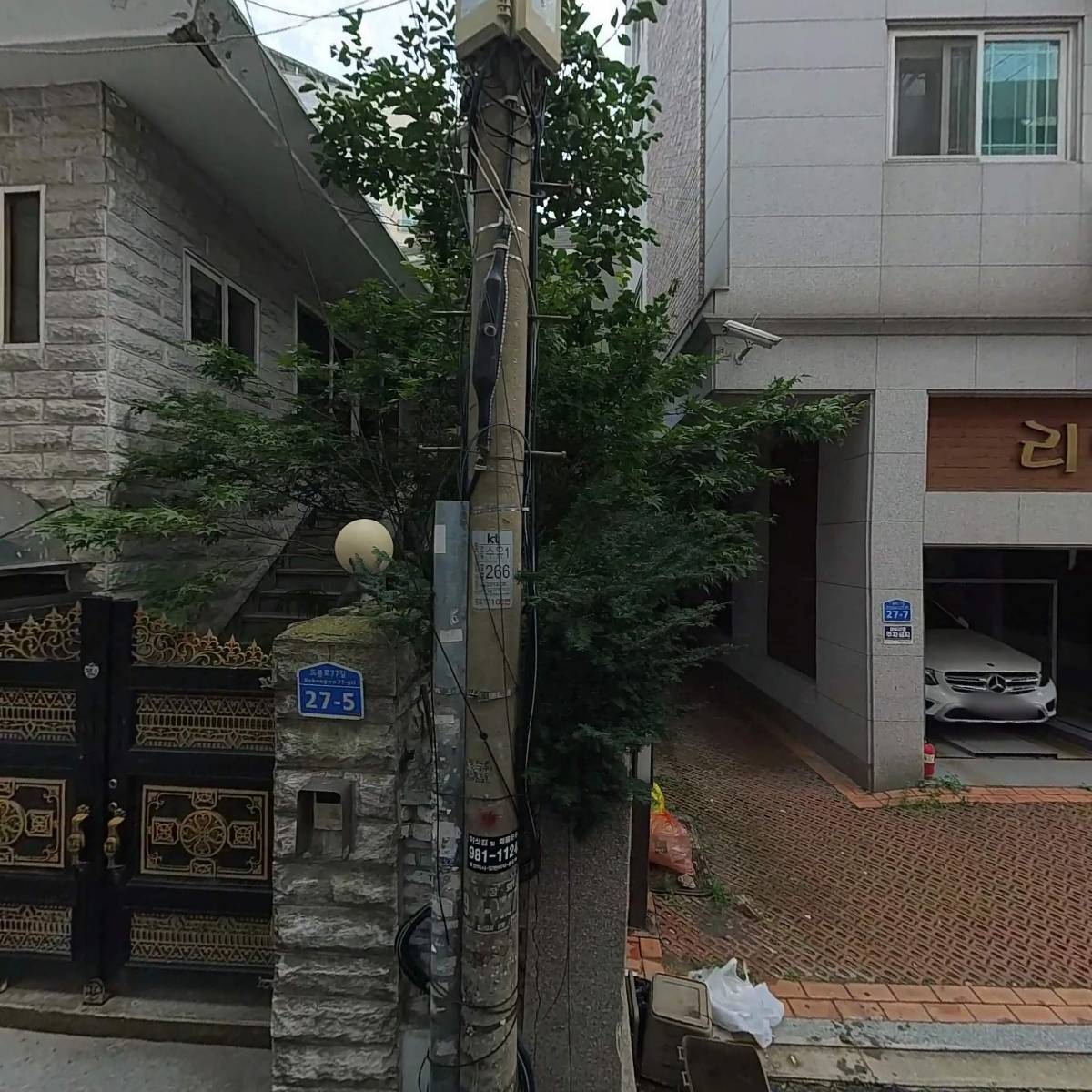 행복하개 키울고양
