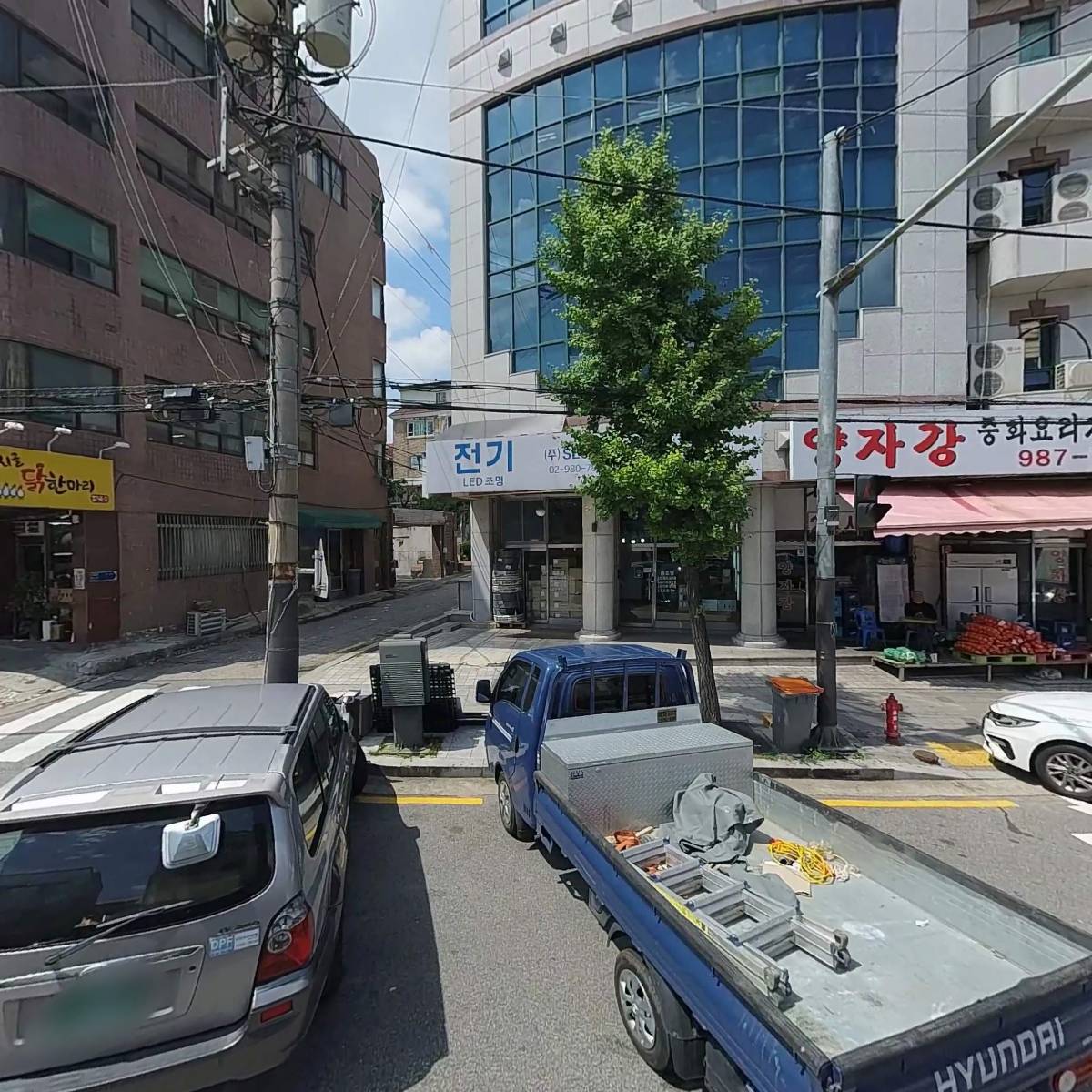 몽고반점