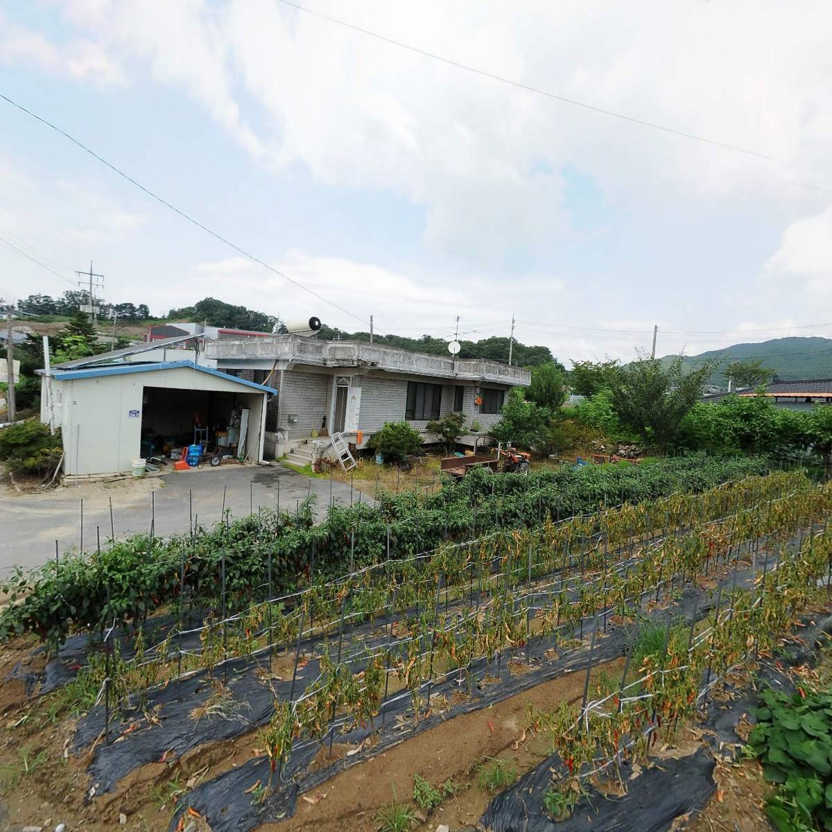 레디가구