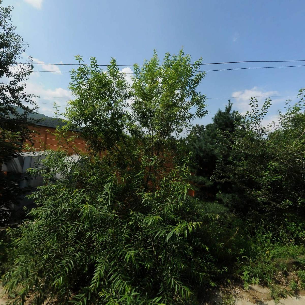 (주)대한식품_3