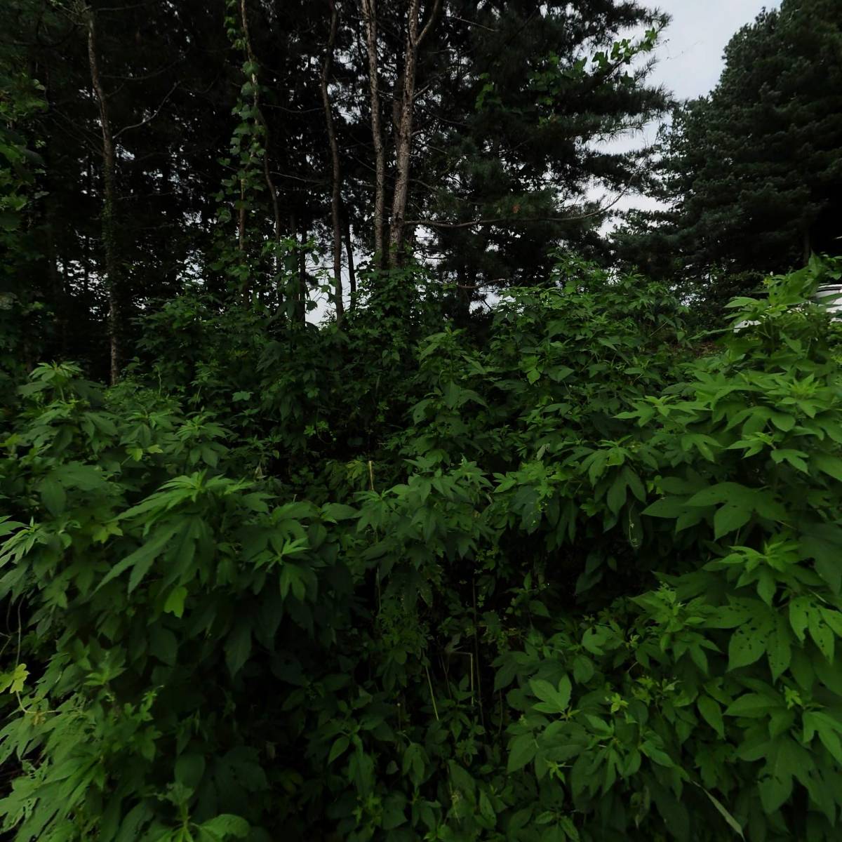 화진섬유_3