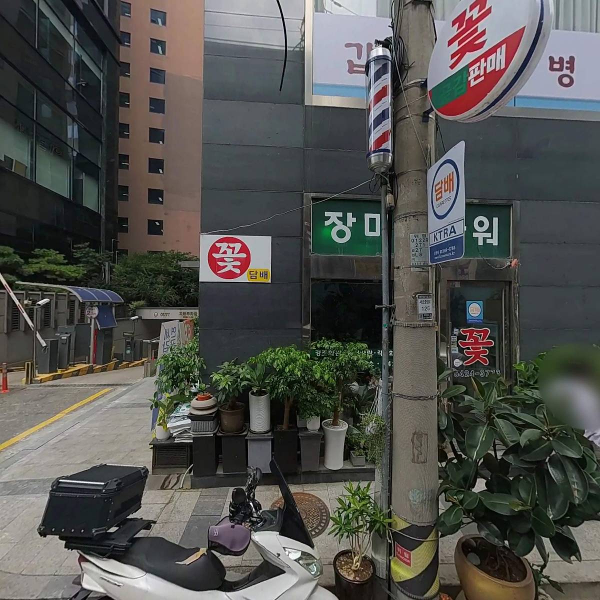 펍피맥