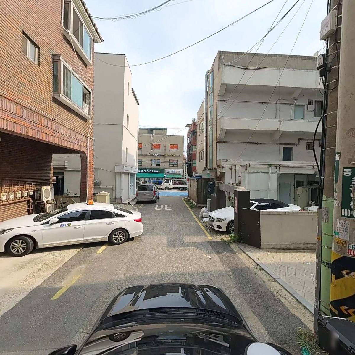 피스터러 코리아_4