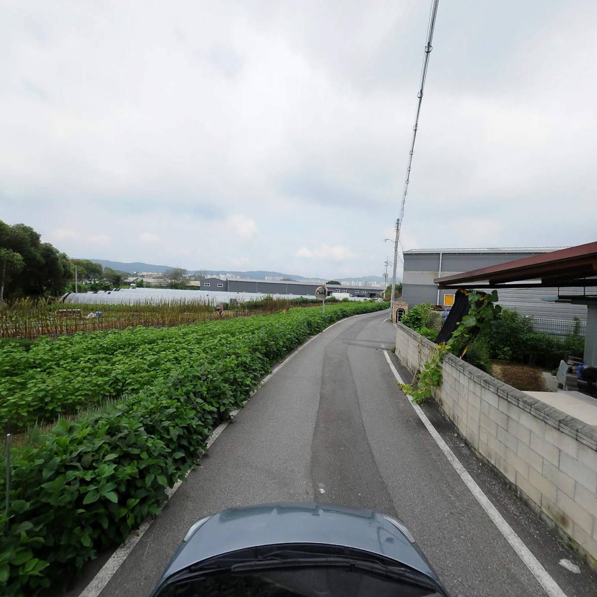 D Day Mart（디데이마트）_4