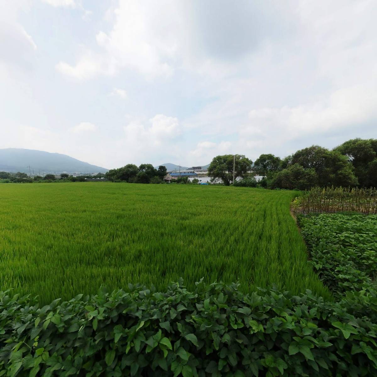 D Day Mart（디데이마트）_3