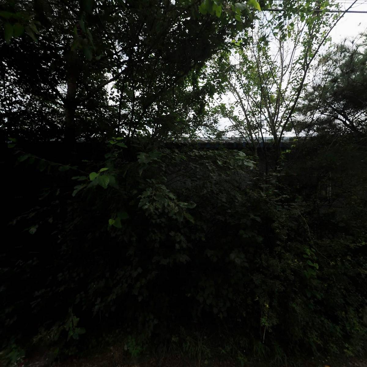 피플퍼플