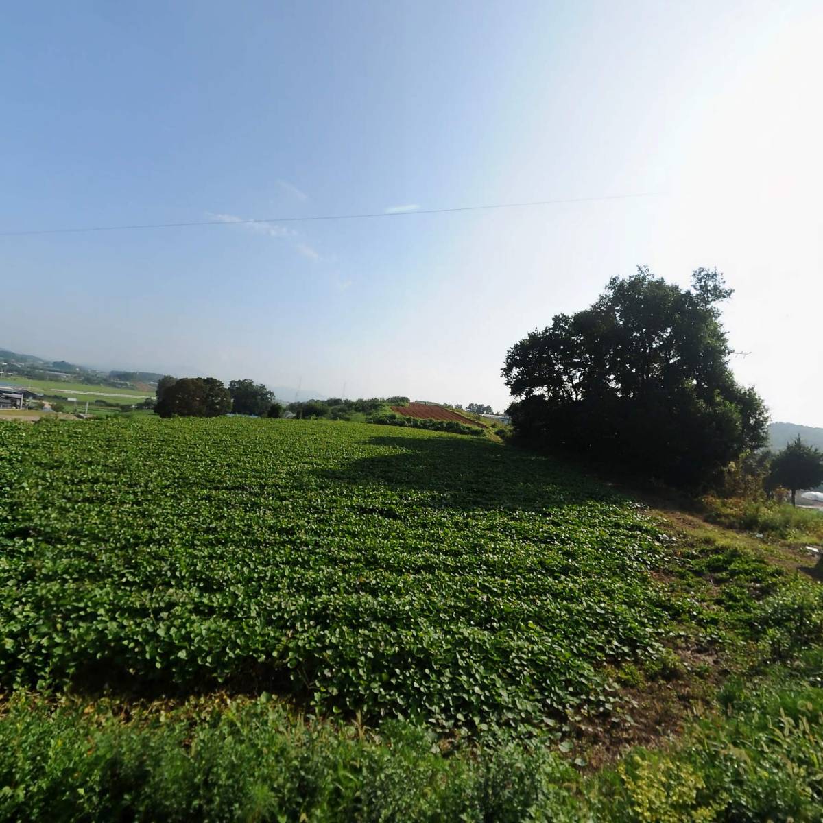 주식회사 정안건설