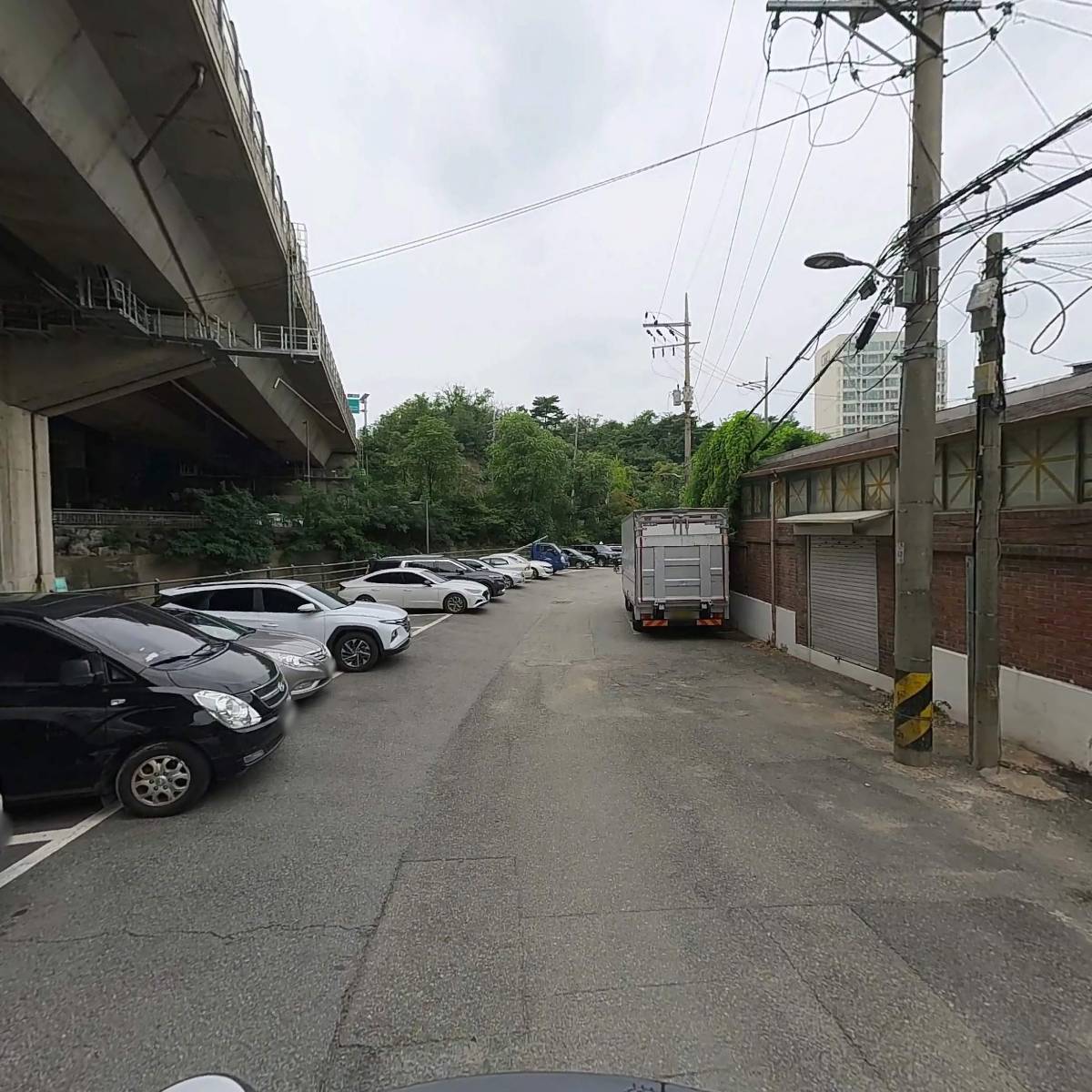 마모(MAMO)_2