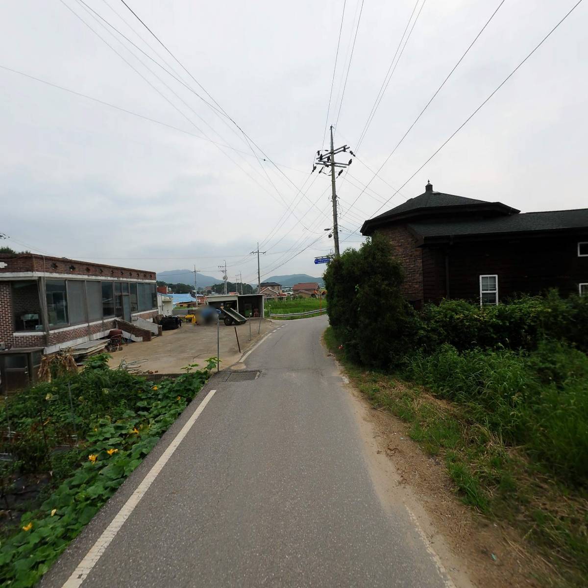 디엠코리아_2
