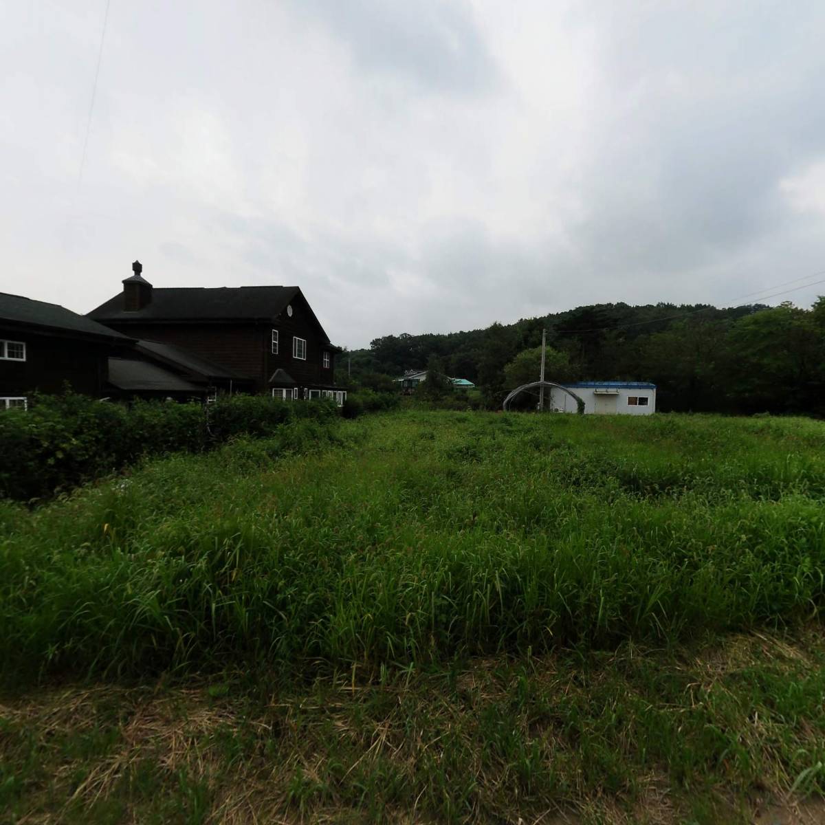 디엠코리아_3