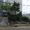 엠씨씨_3