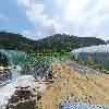몽당마켓_3