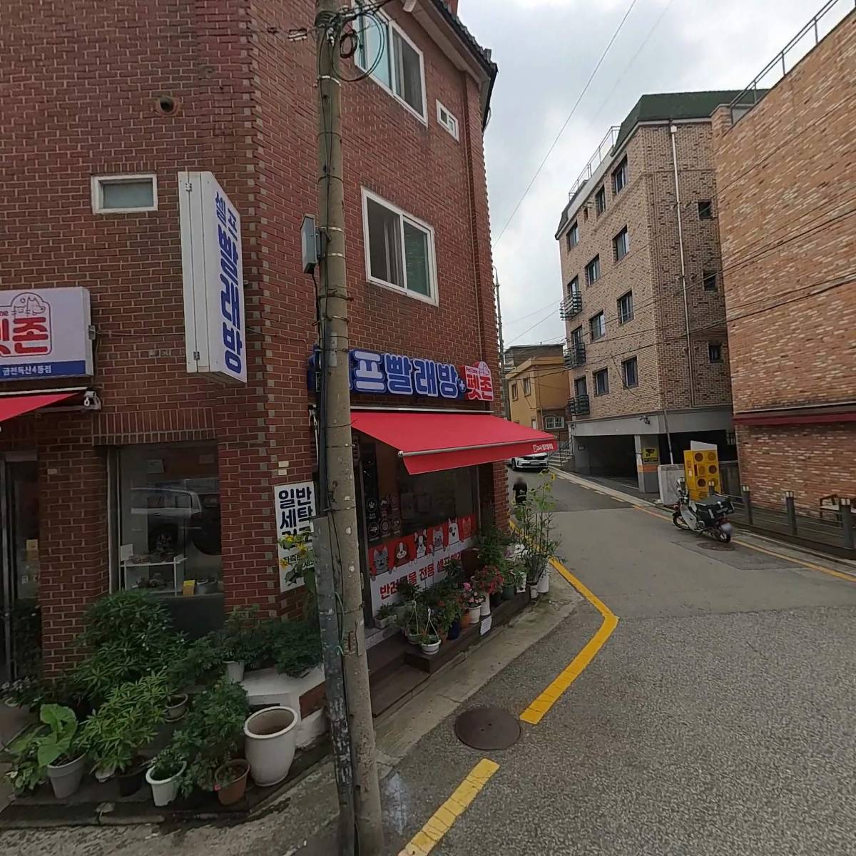 온도바이헤이